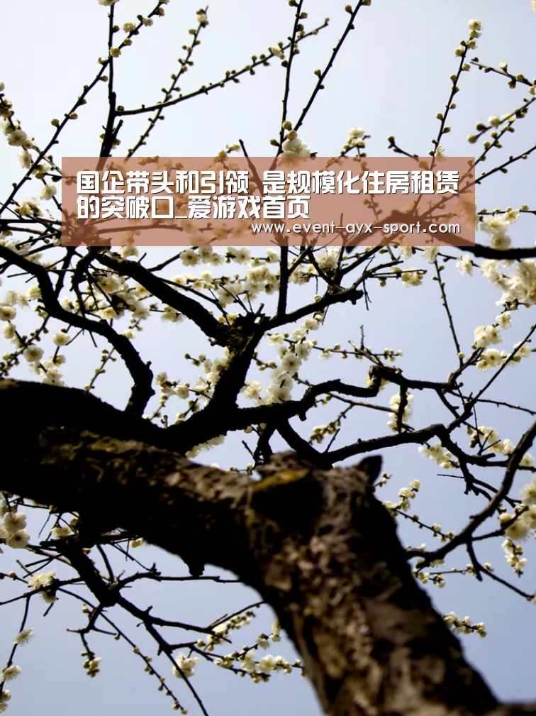 国企带头和引领 是规模化住房租赁的突破口_爱游戏首页(图4) 爱游戏首页
