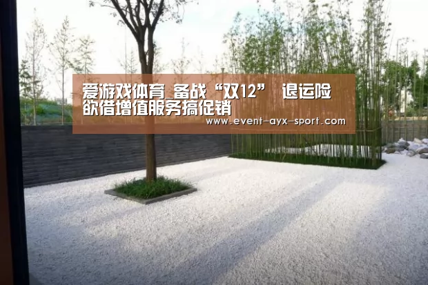 爱游戏体育_备战“双12” 退运险欲借增值服务搞促销(图2) 爱游戏首页