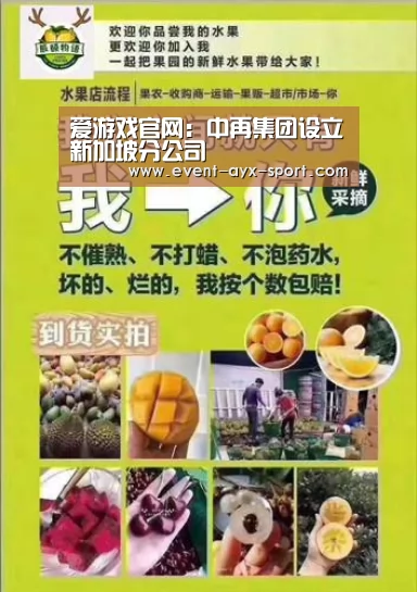 爱游戏官网:中再集团设立新加坡分公司(图2) 爱游戏体育