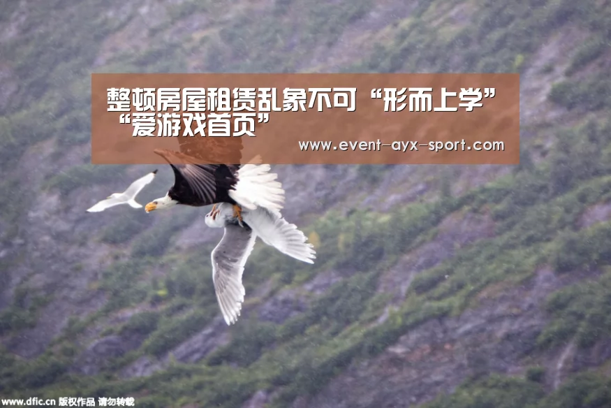 整顿房屋租赁乱象不可“形而上学”“爱游戏首页”(图2) 爱游戏
