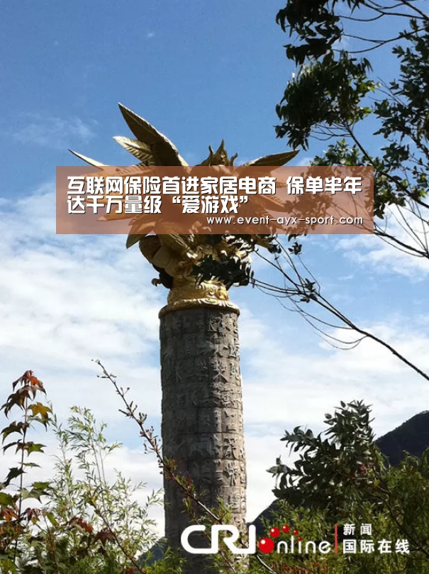 互联网保险首进家居电商 保单半年达千万量级“爱游戏”(图2) 爱游戏体育