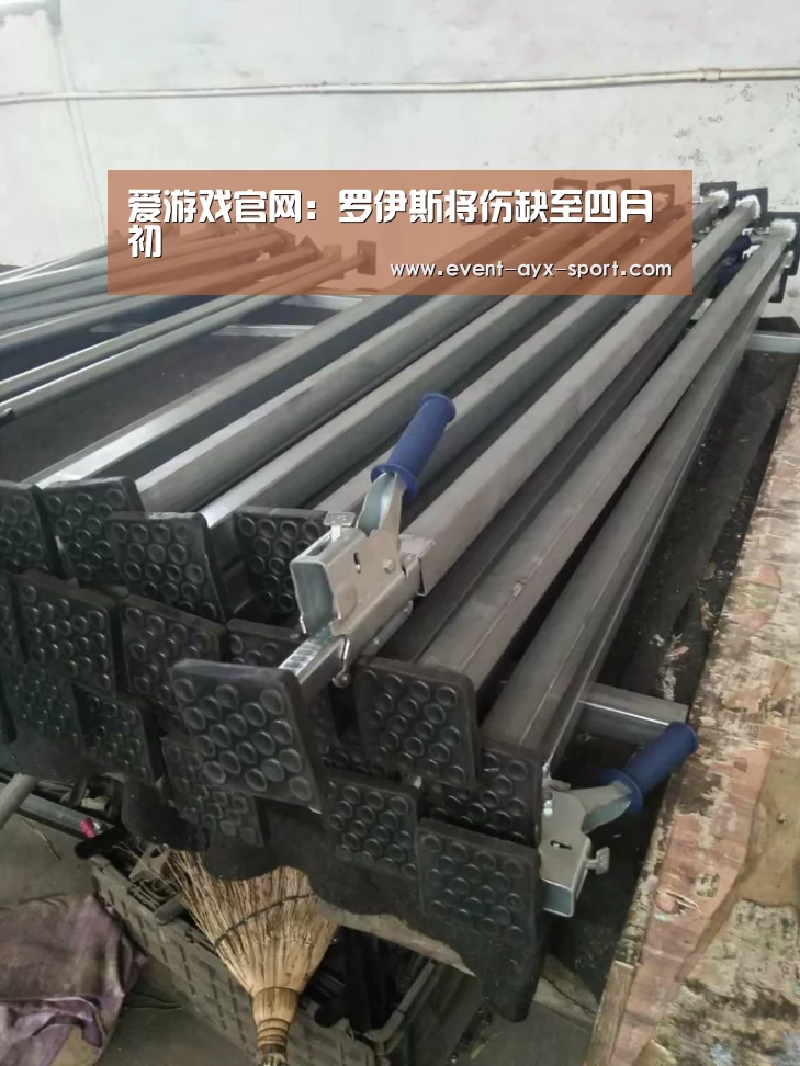 爱游戏官网:罗伊斯将伤缺至四月初(图4) 爱游戏